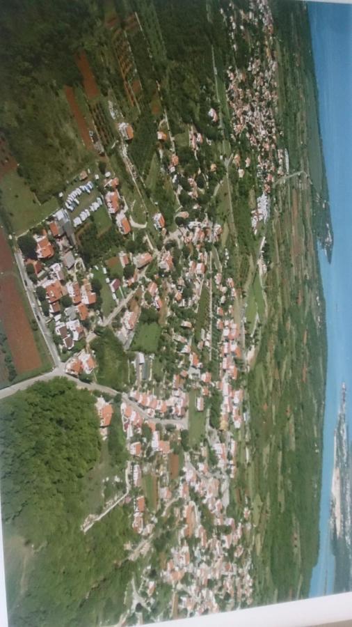 Apartment Nona Tar-Vabriga Zewnętrze zdjęcie